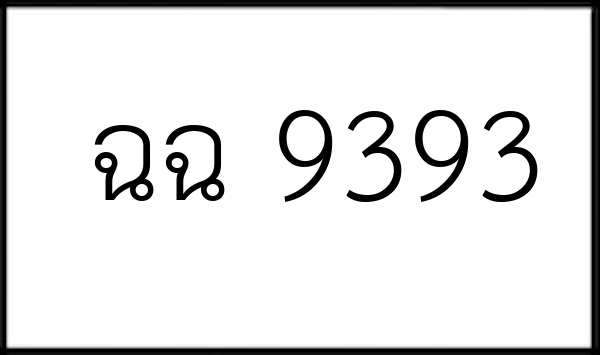 ฉฉ 9393